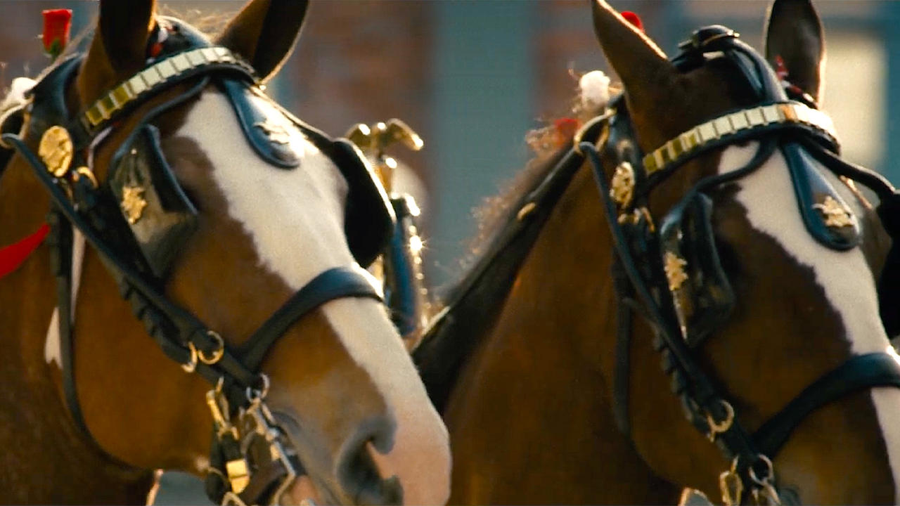 Budweiser Super Bowl 2025 Commercial Tease