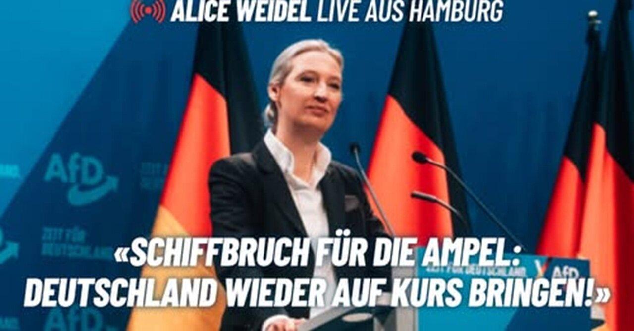 Alice Weidel AfD spricht Klartext: Live in Hamburg!