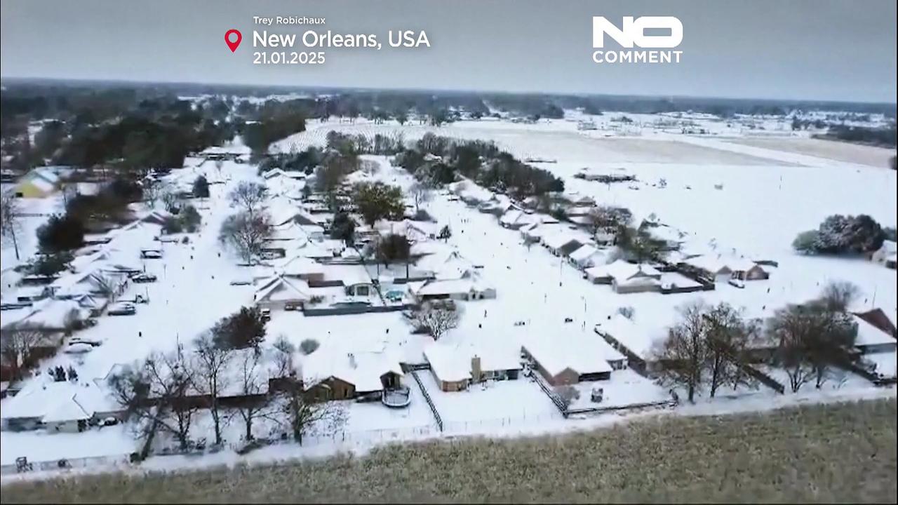 Social media delights in snowball fights and sledding across Texas and the Gulf Coast