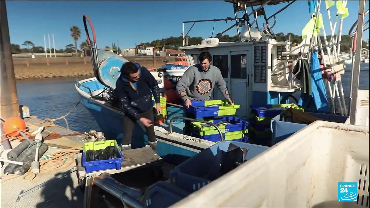 Entre Nous - French fishing: Bay of Biscay ban