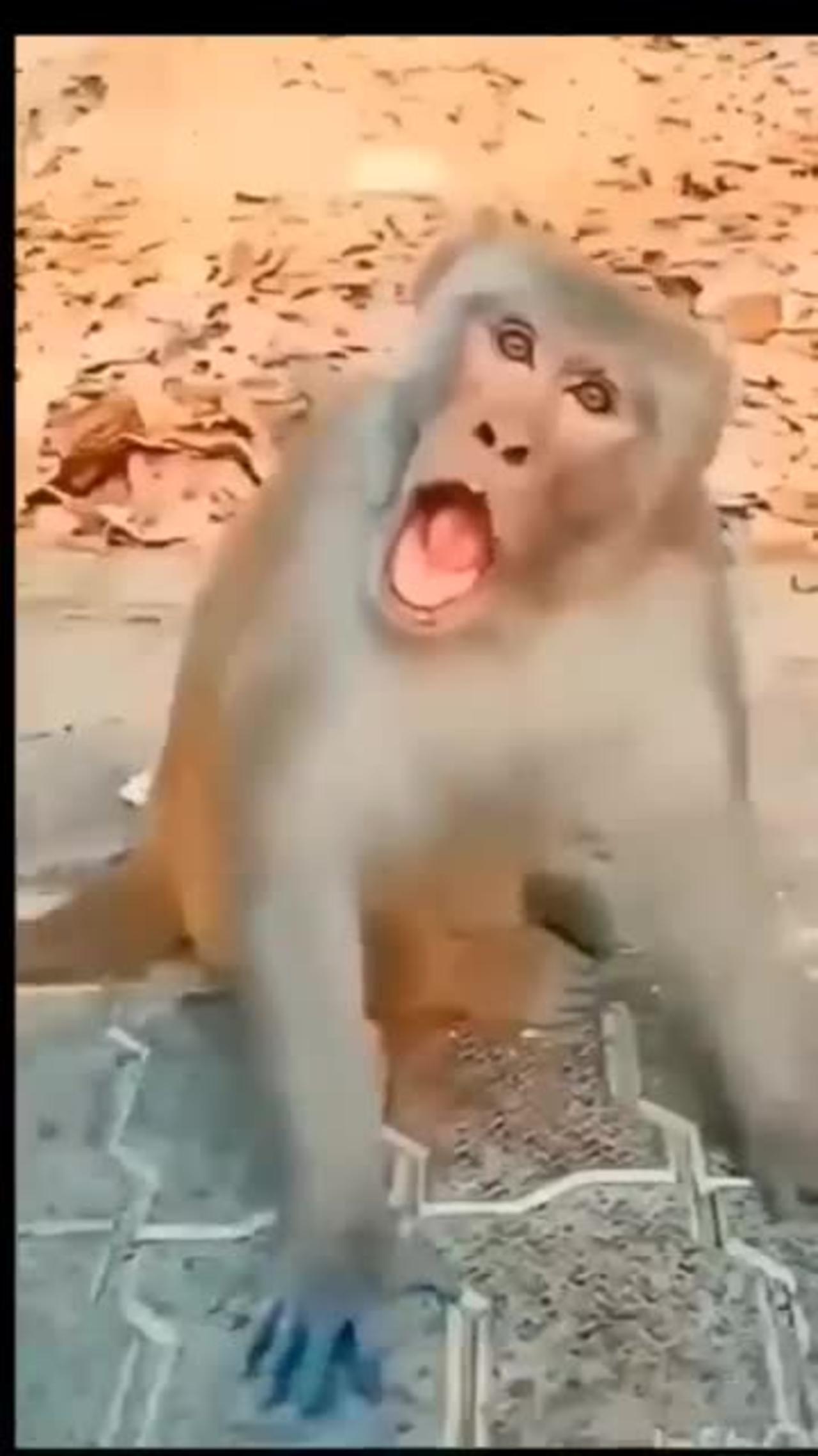 funny baby 👶 video 🤷‍♀️😂 #comedy #funnymonkey #babyvoice #shorts