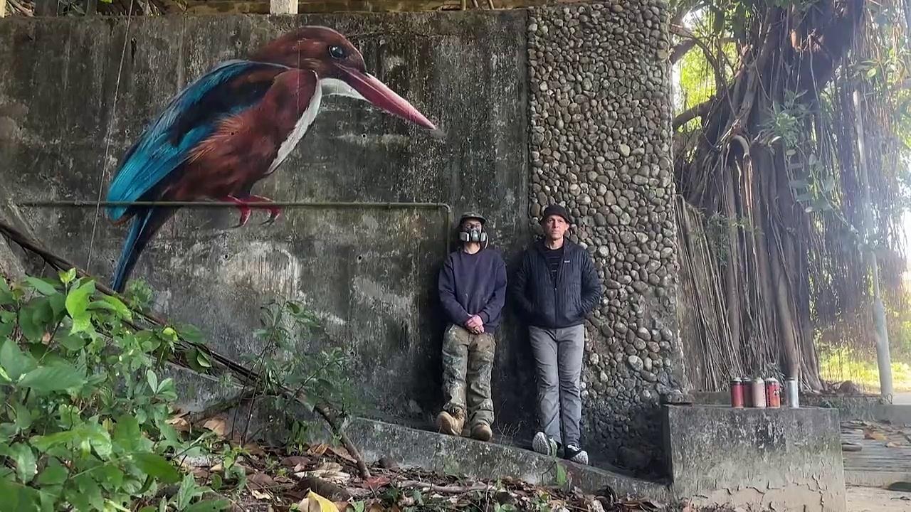 Bird murals appear on abandoned village houses in Hong Kong