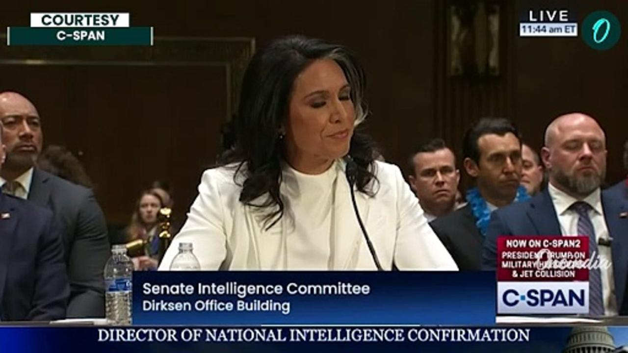 'Is Edward Snowden A Traitor?': Tulsi Gabbard Fiery Clash as Senator Repeatedly Asks For An Answer