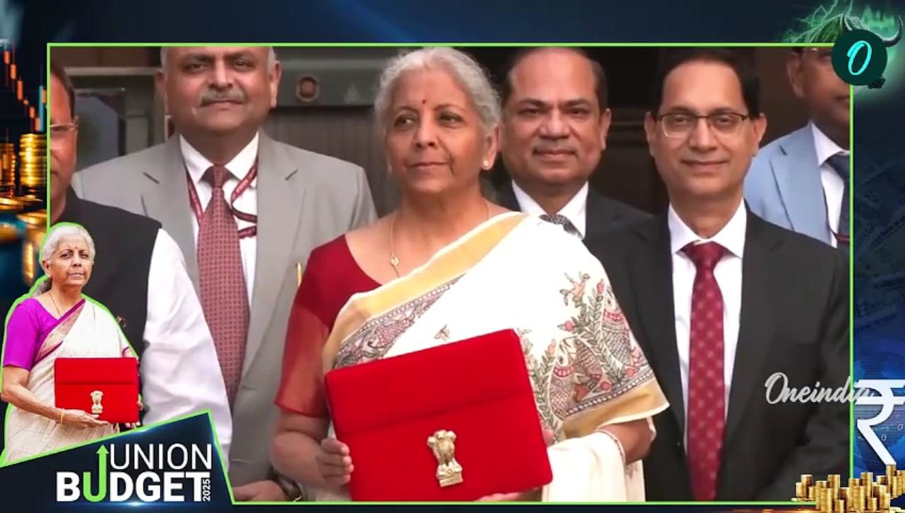 Budget 2025: Nirmala Sitharaman Poses Outside Finance Ministry Ahead of Budget Speech