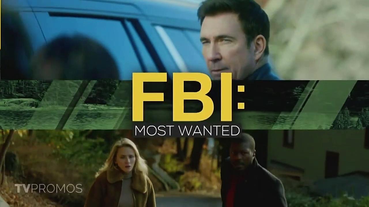 FBI Most Wanted S06E11 Do You Realize--