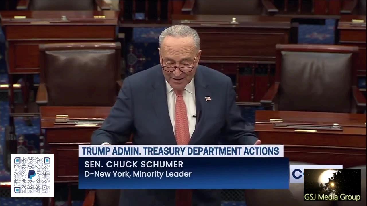 (D) CHUCK SCHUMER WHINES ABOUT ELON MUSK AND DOGE