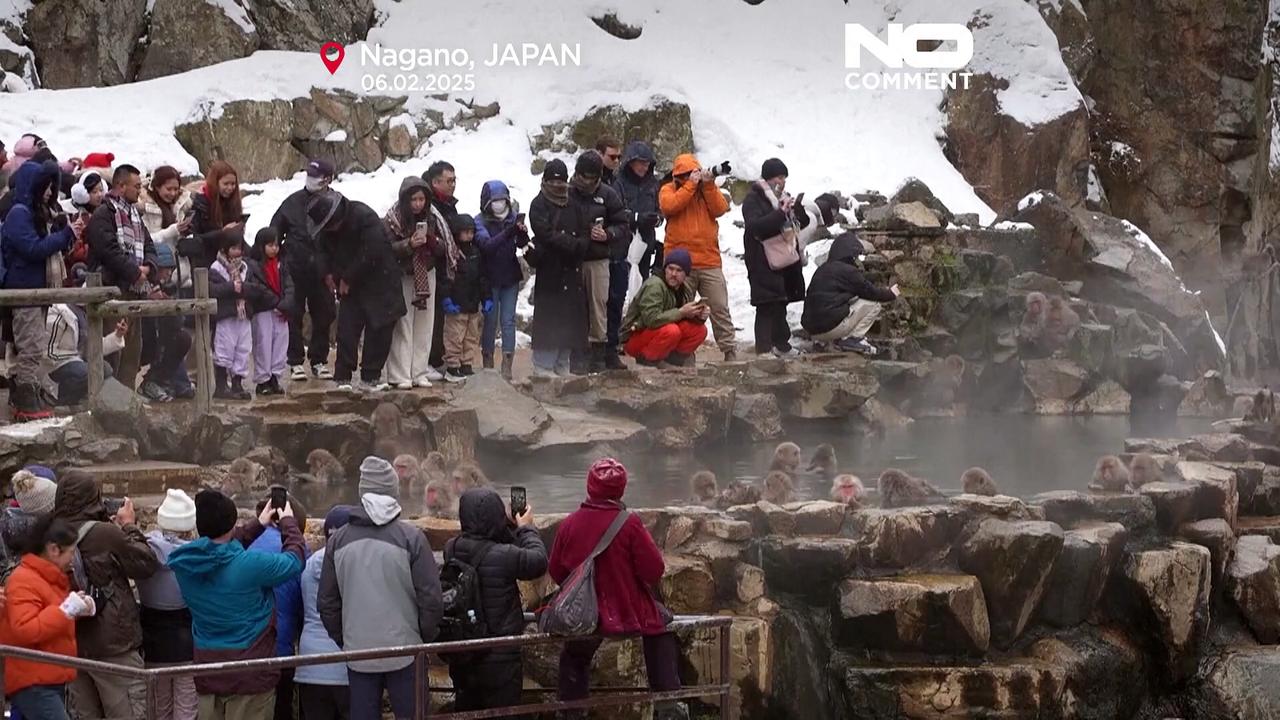 Record crowds at Japan’s hot springs create worries about macaque monkeys' welfare