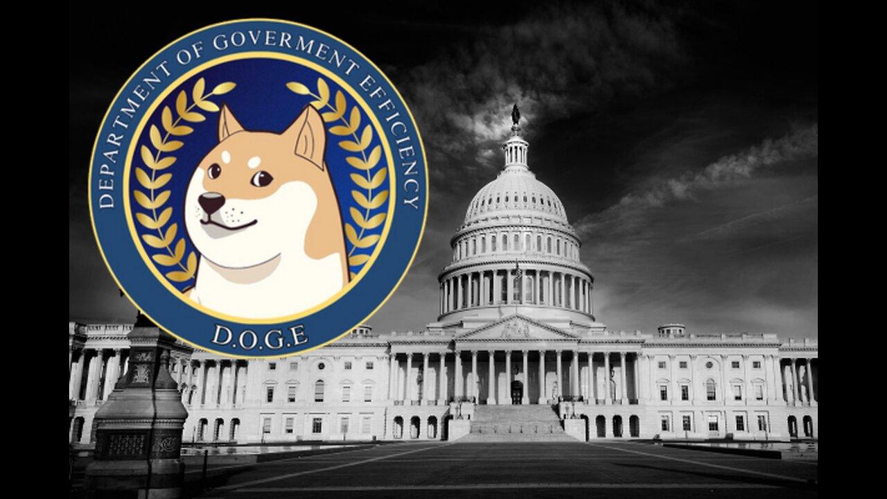 DOGE Overview Part 1 with reactions - US Department of Government Efficiency