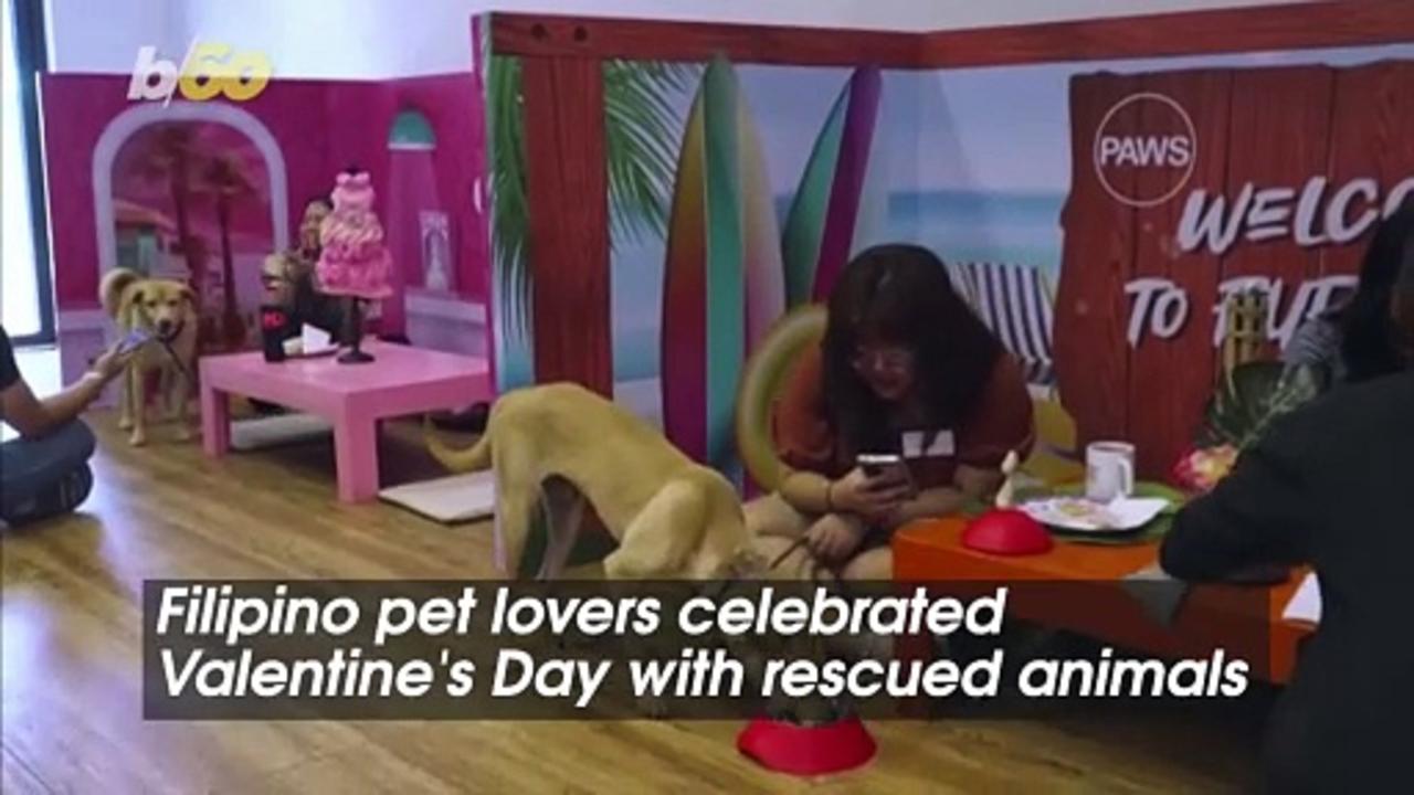 These Pet Lovers Are Having the Best Valentine’s Day Ever With These Rescued Animals