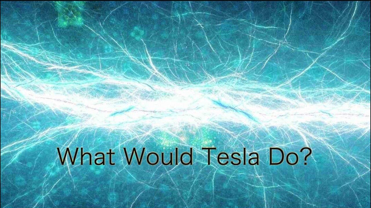 SEASON 2:204 What Would Telsa Do?