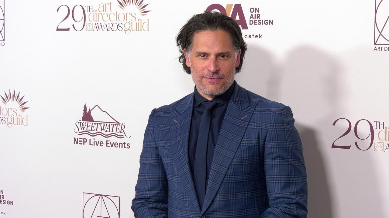 Joe Manganiello 29th Annual ADG Awards Red Carpet