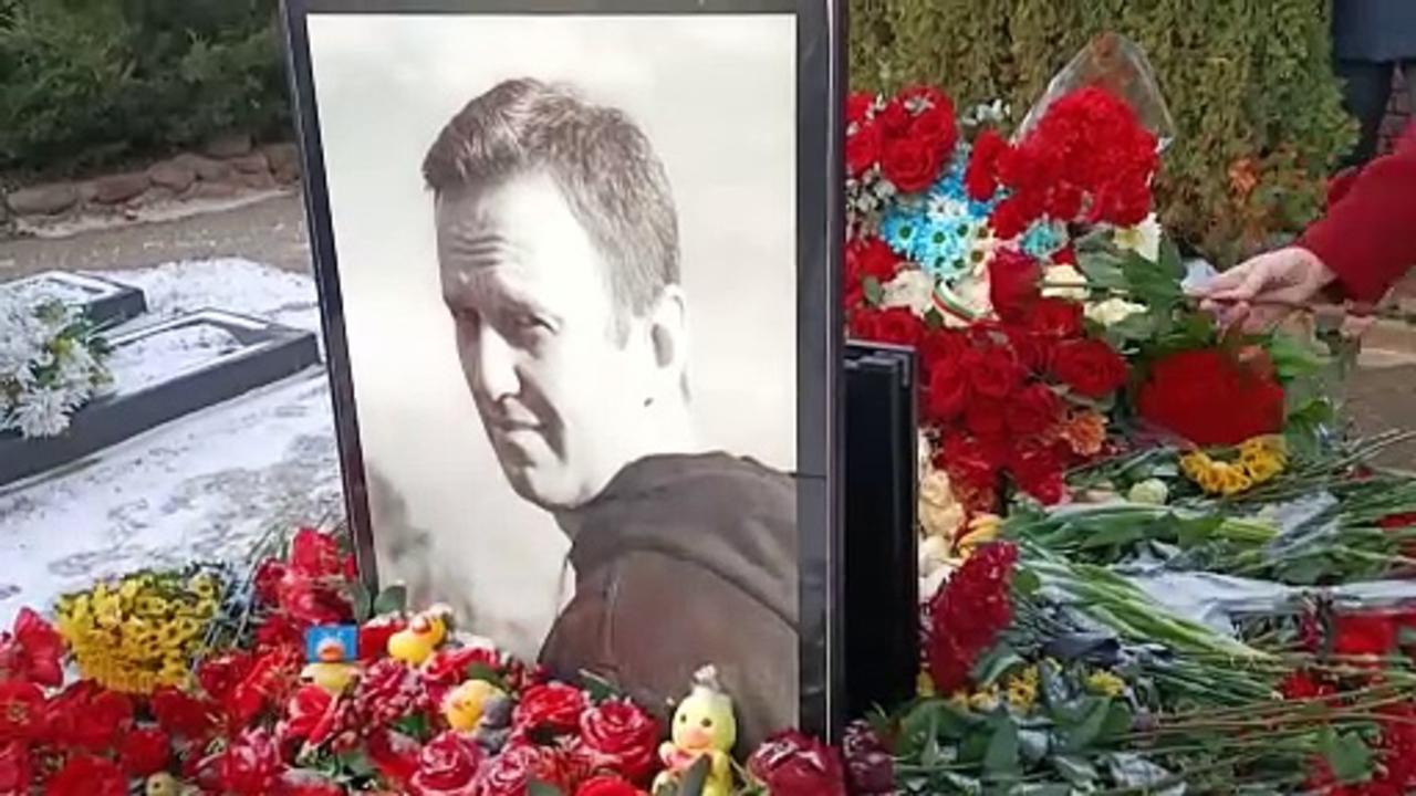 Navalny's mother wants those responsible for son's 'murder' punished