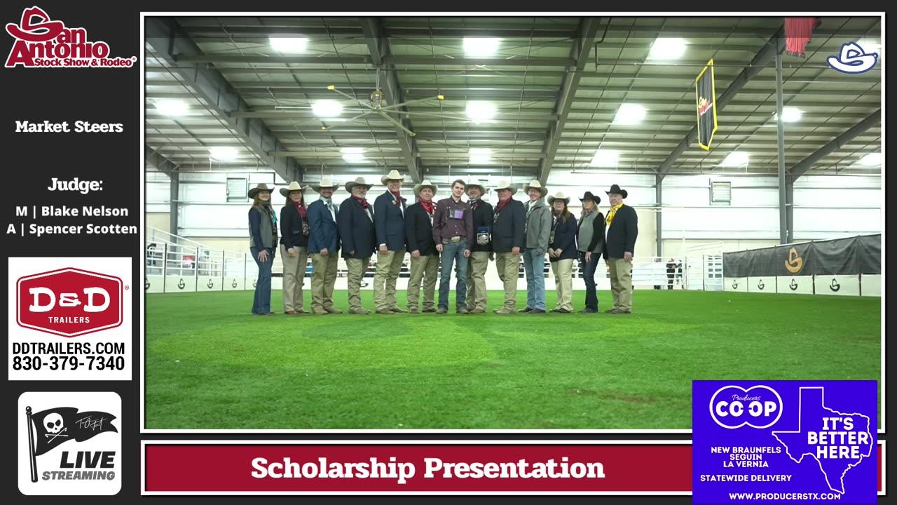 Market Steers Prelim Grand Drive SALE 2025