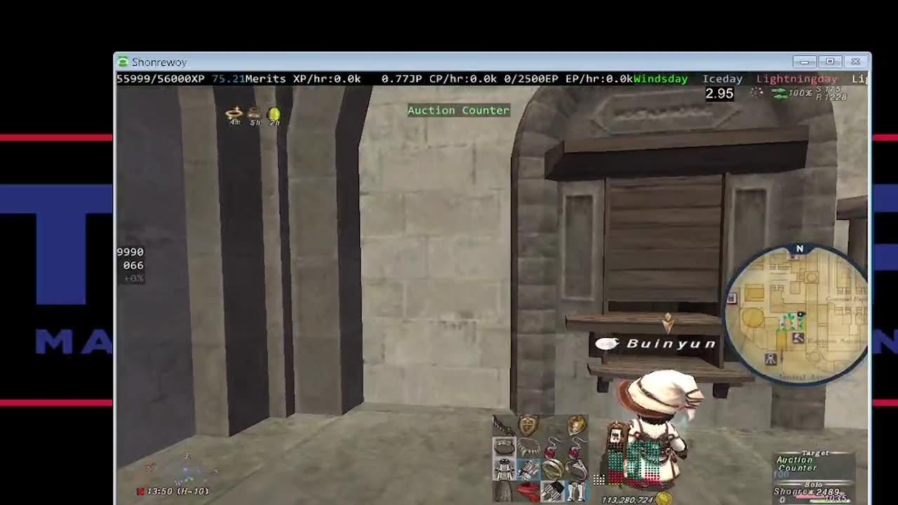 Playing Final Fantasy XI Online