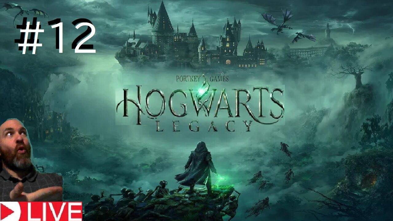 Hogwarts Legacy RPG part #12 (livestream)