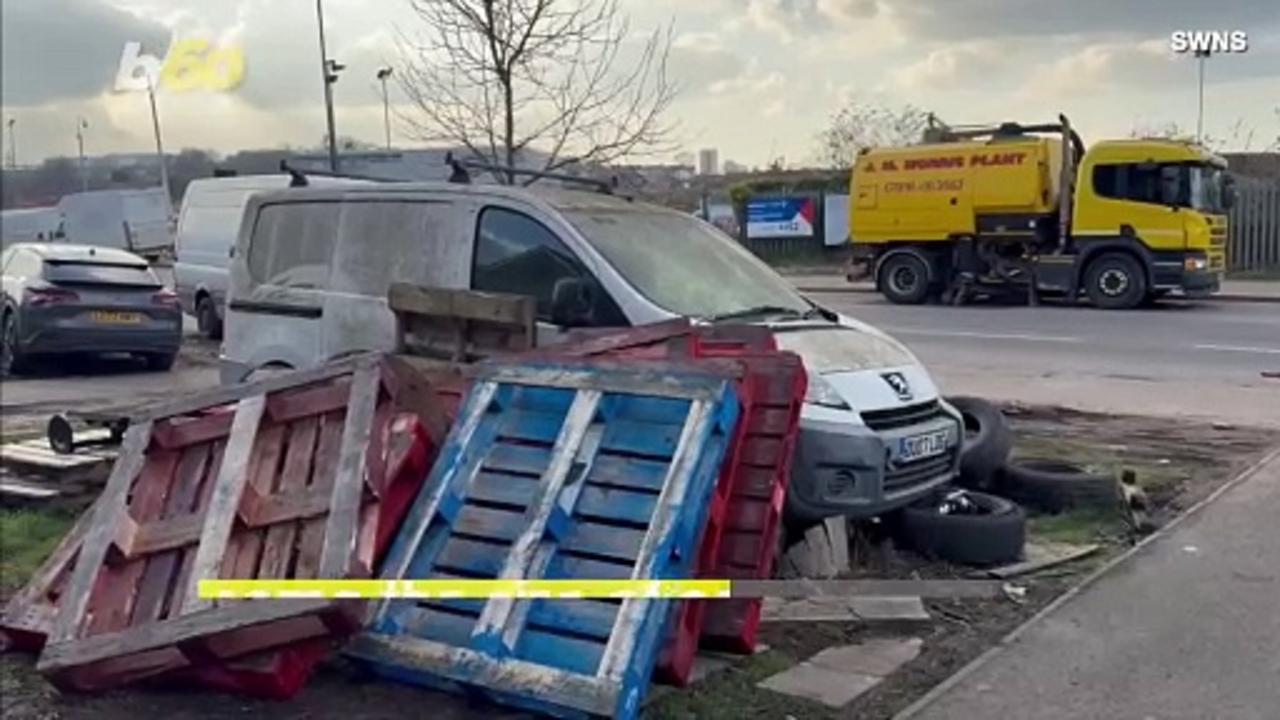 Rats the Size of Cats Wreak Havoc on Cars as They Invade City During Trash Strikes