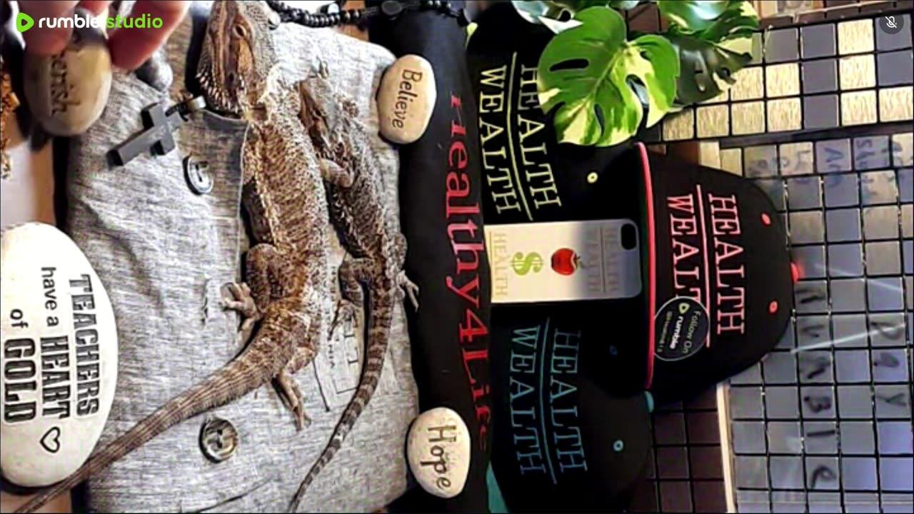 ⭕2025 Live Stream Day 7🔴 With 🐉 Mascots 🍎 🐲 Kobe & Health A Day In The Life Of Bearded Dragons🐲Day7🐉⭕L