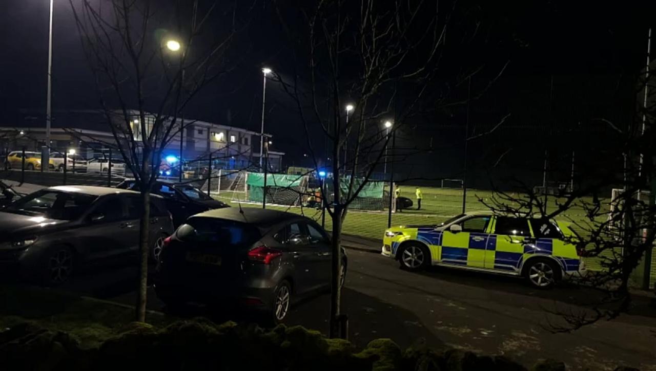 Child dies after being hit by car on sports pitch