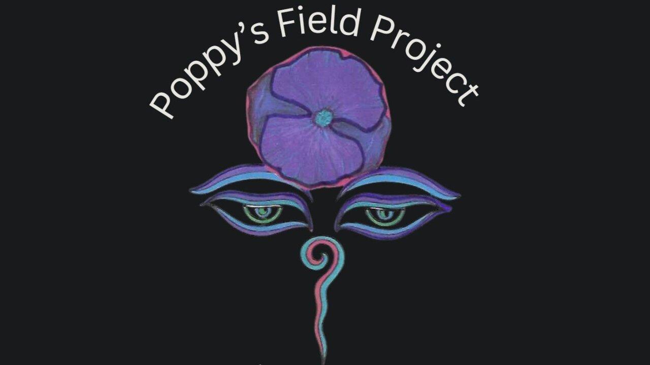 Poppy's Field Project 3/5/25