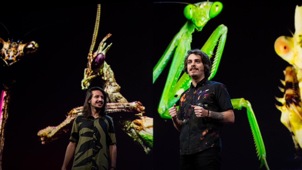 The colorful, shapeshifting wonder of the Amazon's praying mantises | Leo Lanna and Lvcas Fiat