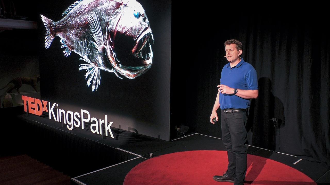 Meet the mysterious 'monsters' of the deep sea | Alan Jamieson