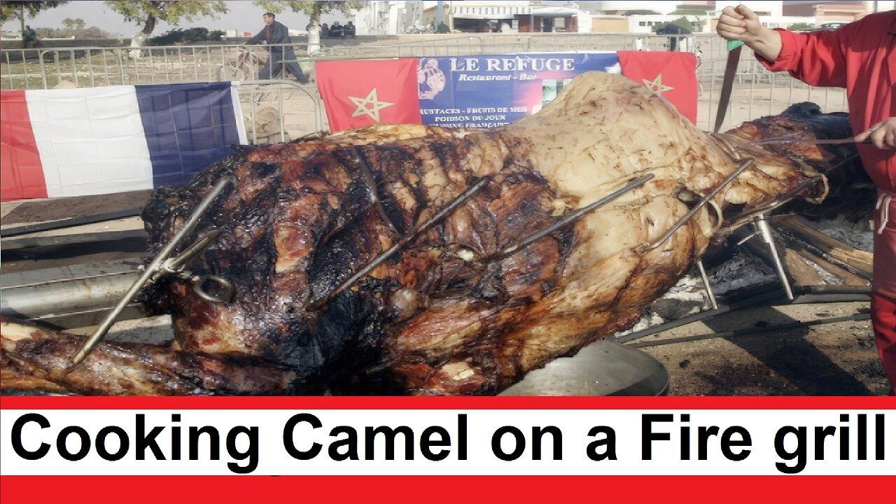 Cooking Camel on a grilled Campfire. Baked Camel