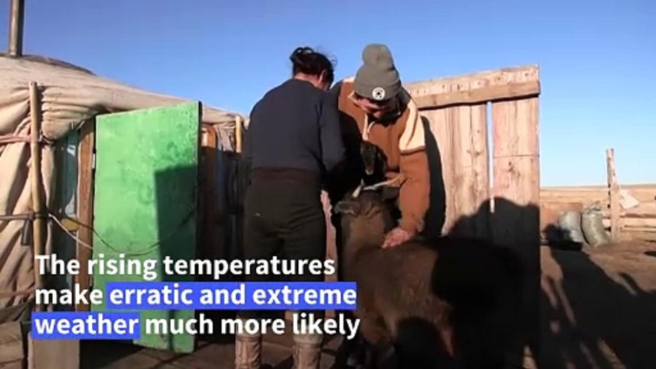 Climate change pushes Mongolian herders to the brink