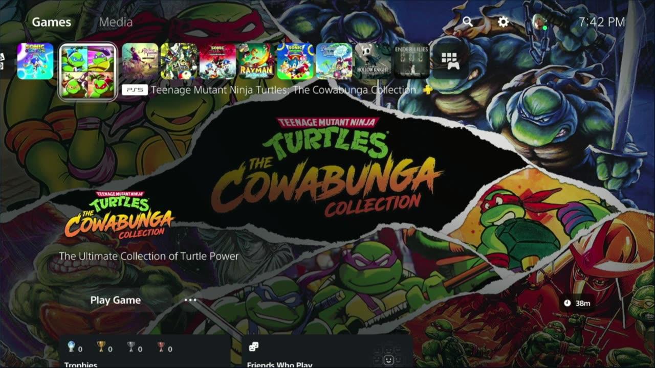 Mutant Ninja Turtles : The Cowabunga Collection - Probably mostly attempting to beat TMNT1 NES