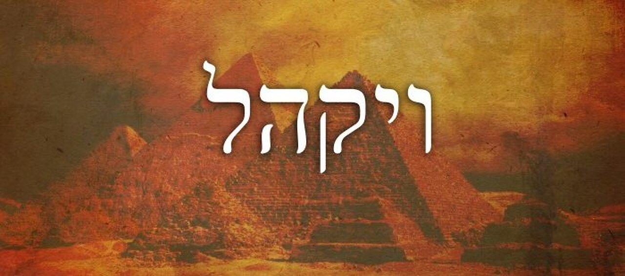 REGRESANDO A CASA AL VERDADERO OLIVO DE LA TORAH - PARASHAT #22 "VAYAKHEL" (E HIZO QUE SE REUNIERA)