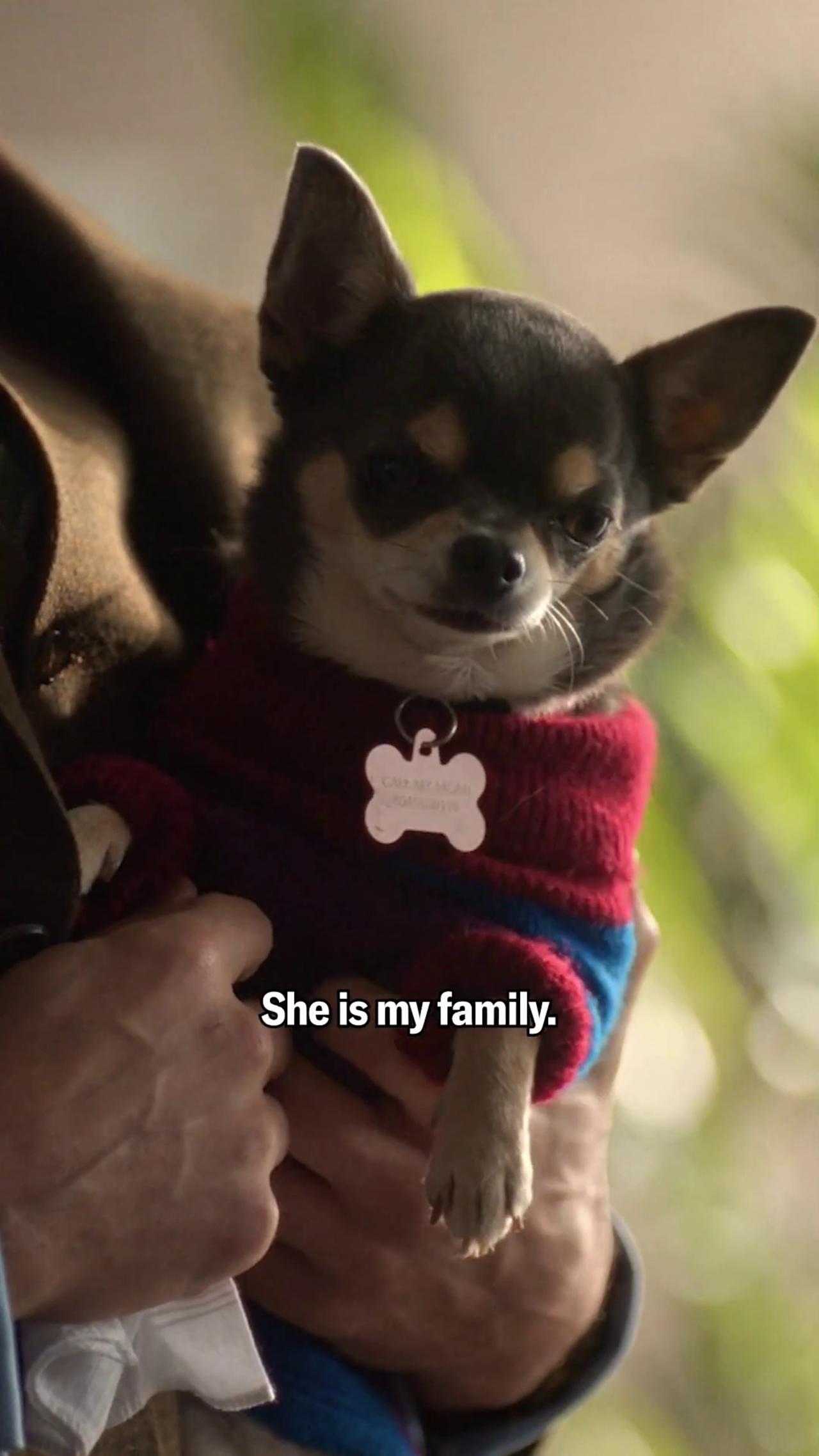 Meet Betty the Legend from ABC’s Will Trent