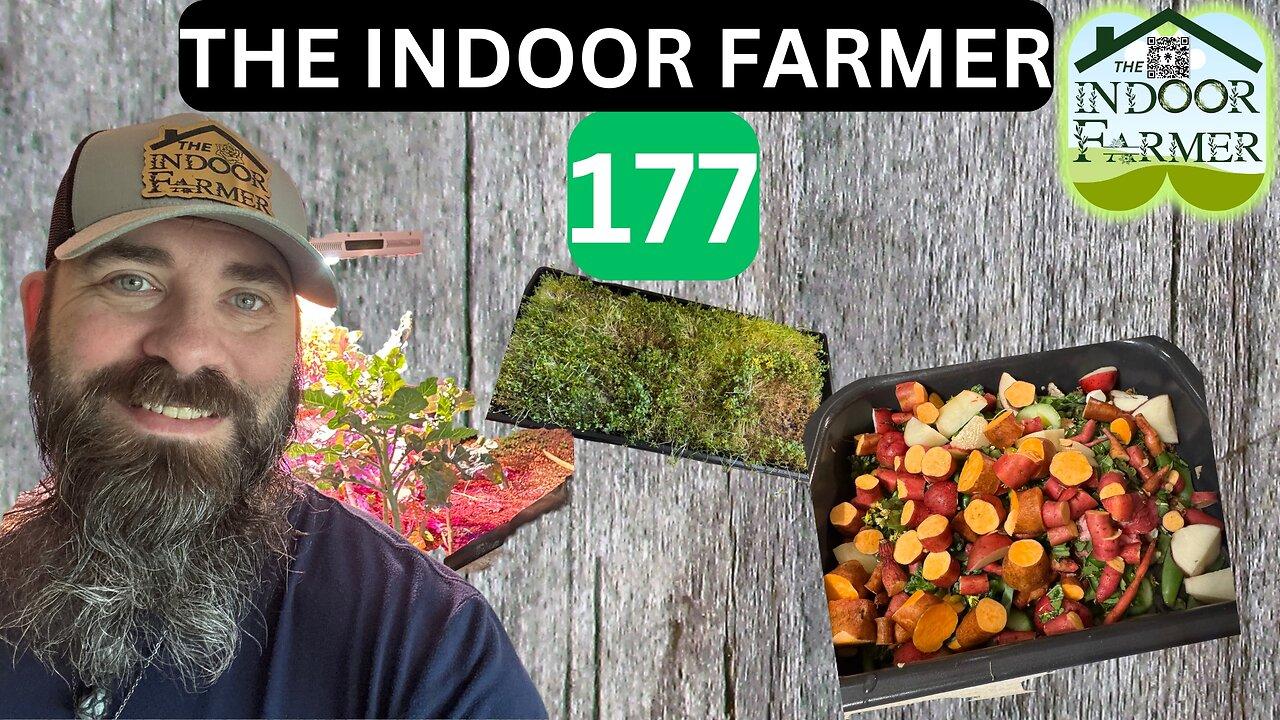 The Indoor Farmer ep 177, Micro Progress Is Still Progress, Let's Grow