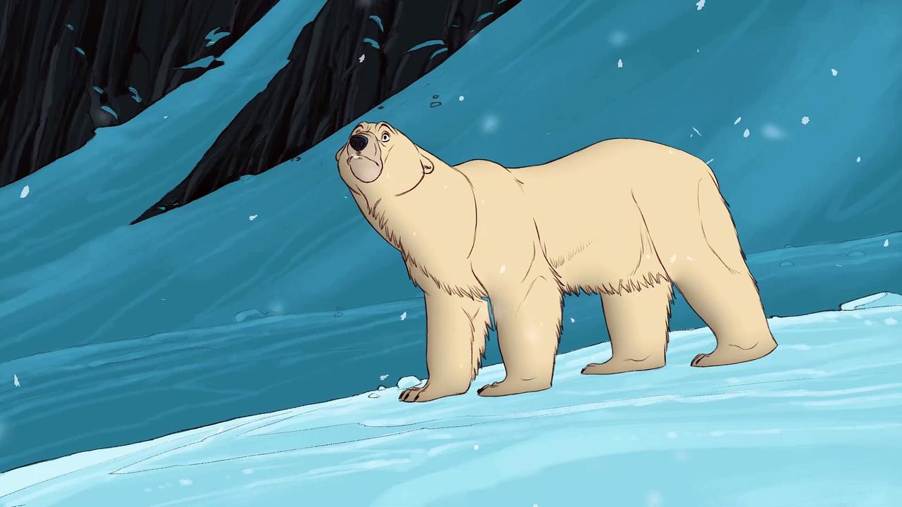 Snow Bear Movie