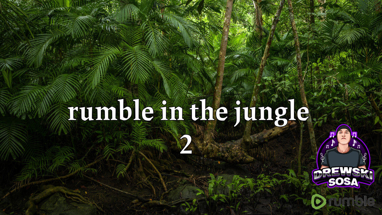 rumble in the jungle 2 (gaming)