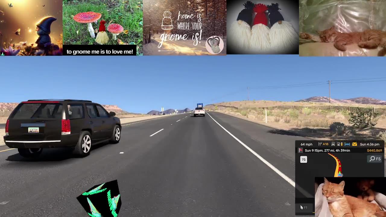 Gnome driving America oh Yeah