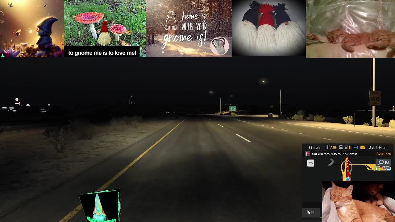 Gnome driving America part 3