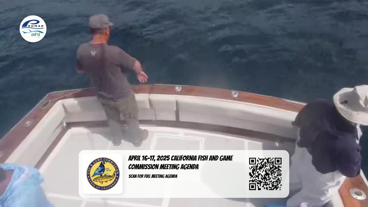 Catalina Live FISHING W/ Justin Wednesday! | Your Saltwater Guide Podcast #709
