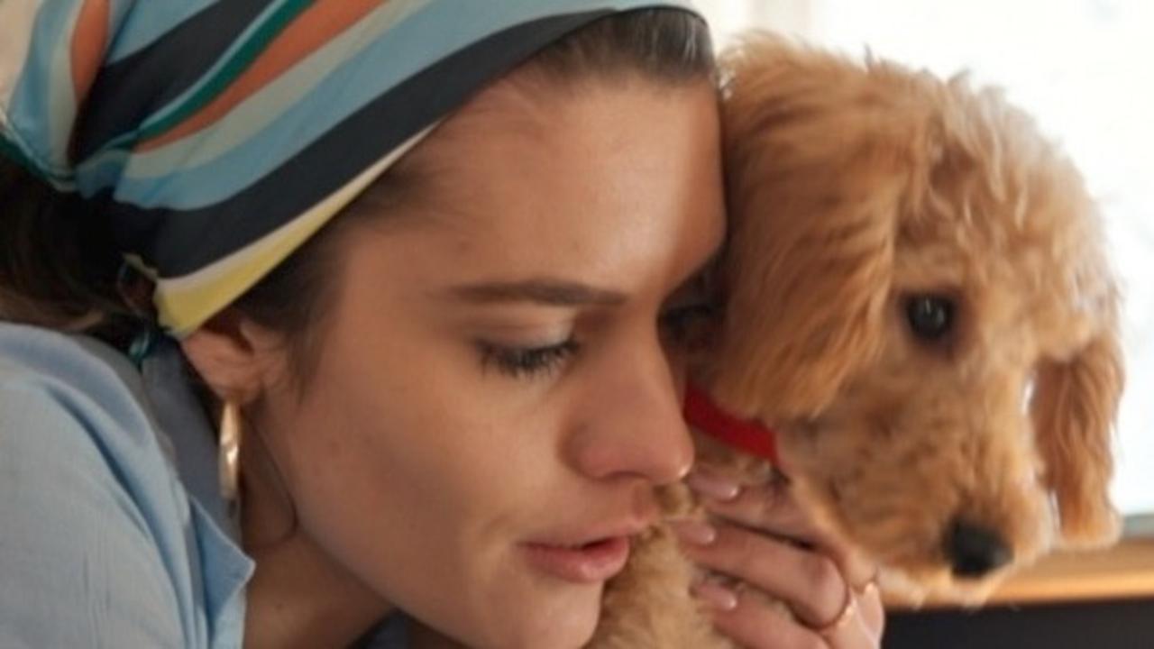More and More, Pets Are Being Treated Like Children by Their Loving Owners