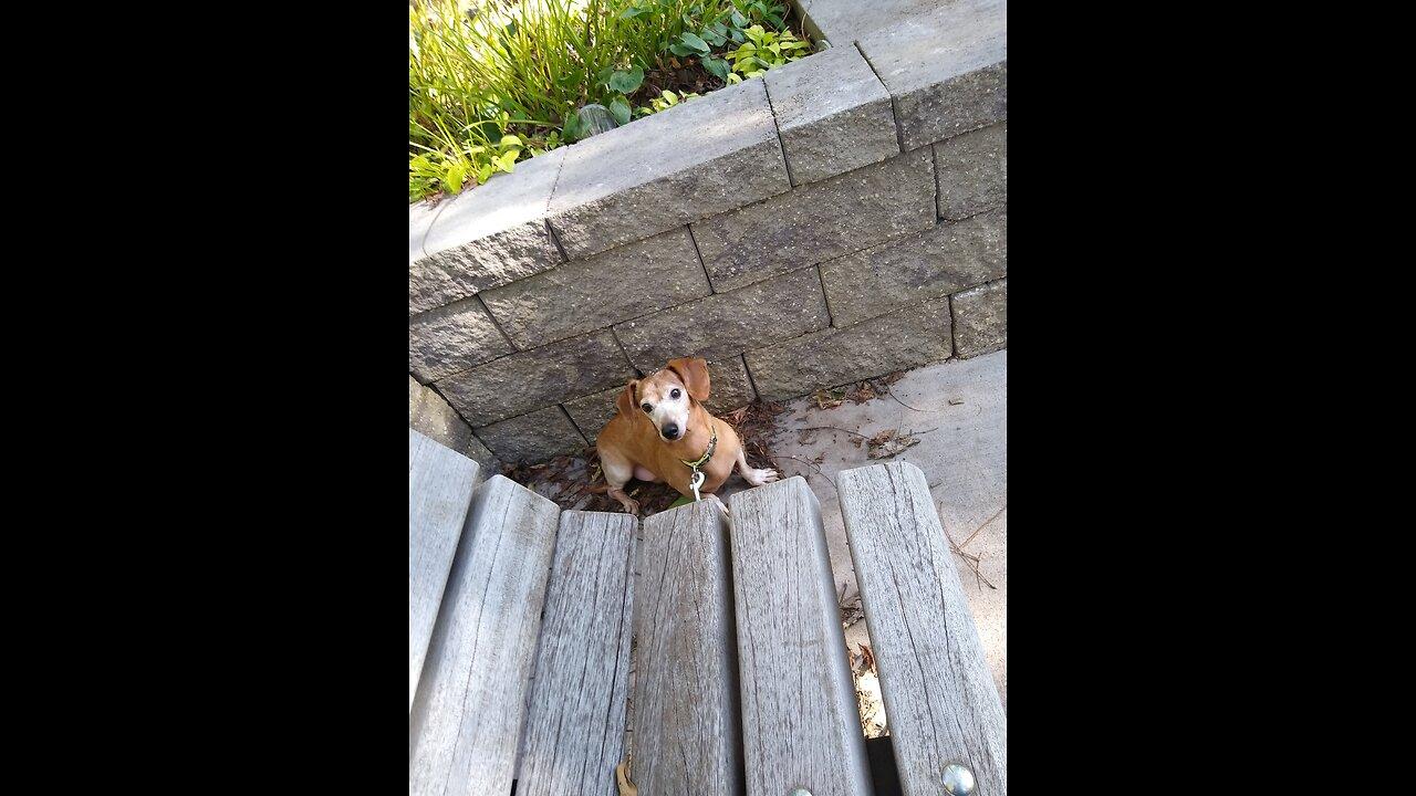 2nd Easter Weenie Stream (Happy Easter!)
