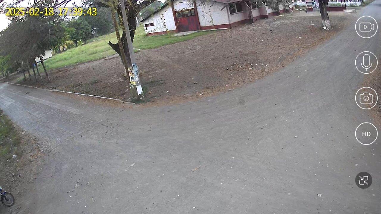 Camara Calle El Palmar - Martes 22 Abril 2025 - Transmision en vivo