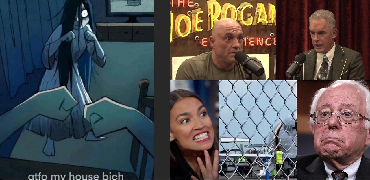 Rogan & Peterson On Politics, Cringe Liberals, AOC/Bernie Private Jet, Student Debt