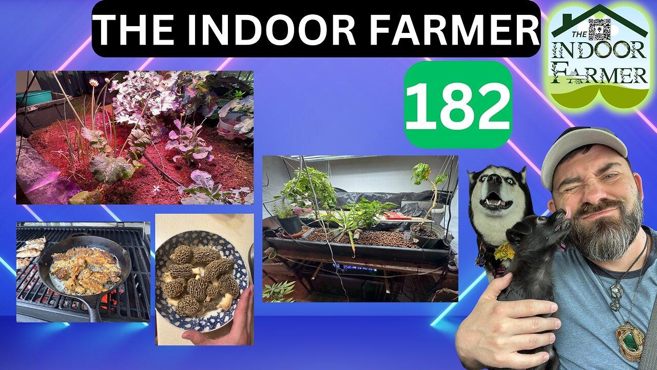 The Indoor Farmer ep 182, Blooming Onions, Mushroom Find & Aquaponics Upgrades. Let's Grow!