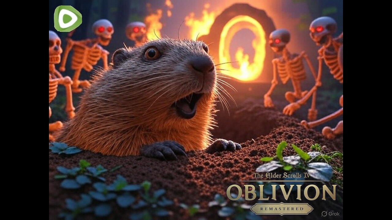 Doing The Mages Guild Gopher Runs Right Here, Exclusively On RUMBLE!!!
