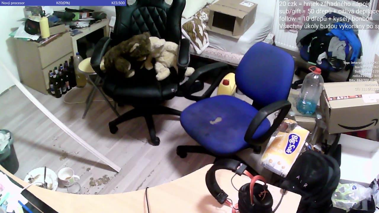 Řekni ahoj! Say hello! Sag hi!
