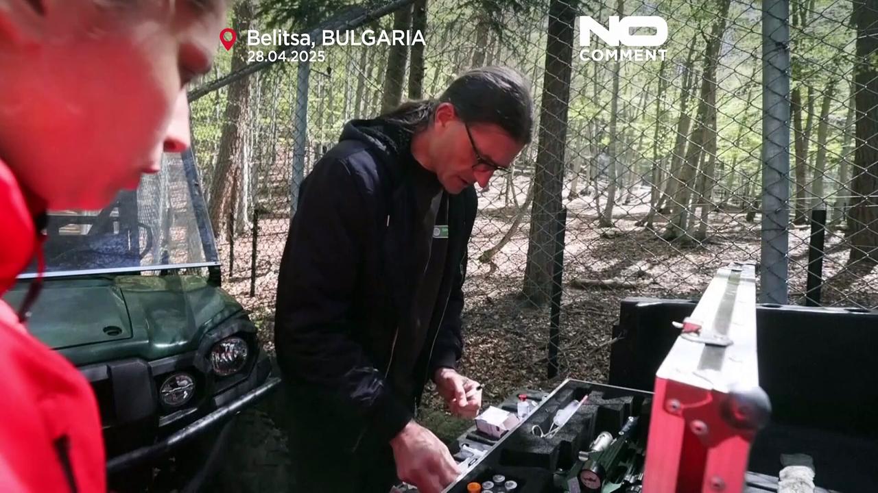 Mistreated bears rehabilitated in Bulgarian wildlife refuge