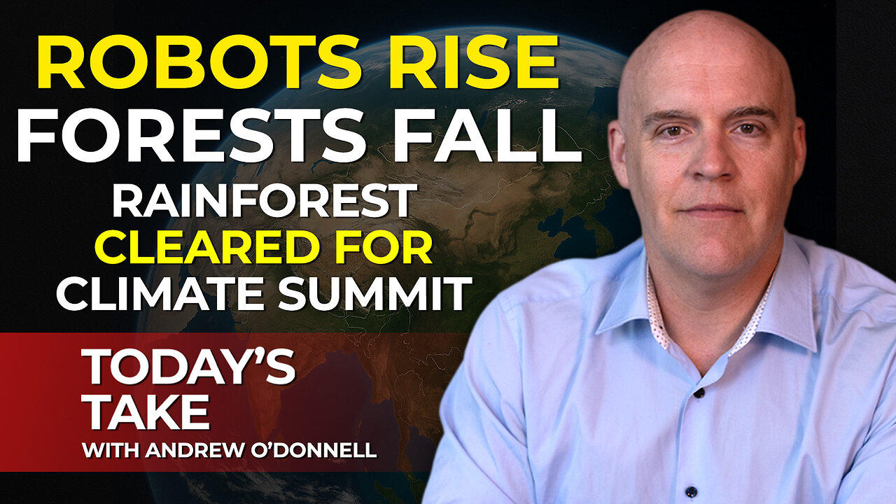 Today's Take: Future Tech vs. Fragile Forests: Are We Advancing or Erasing?