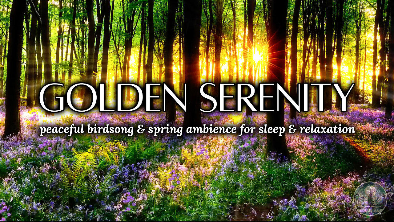 Golden Serenity | Peaceful Birdsong & Spring Ambience for Sleep, Relaxation & Meditation
