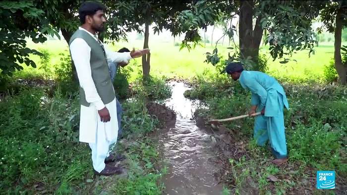 Pakistan farmers worry after India suspends key water treaty