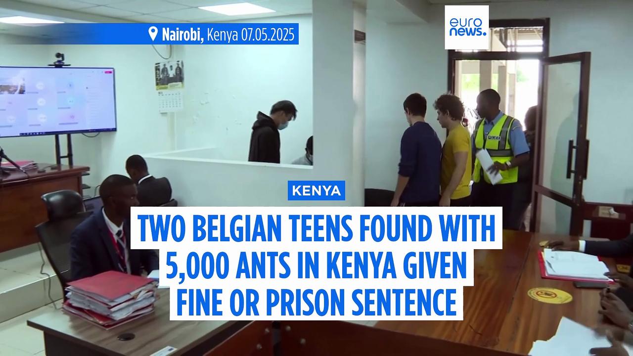 Two Belgian teens found with 5,000 ants in Kenya given $7,700 fine or year in prison
