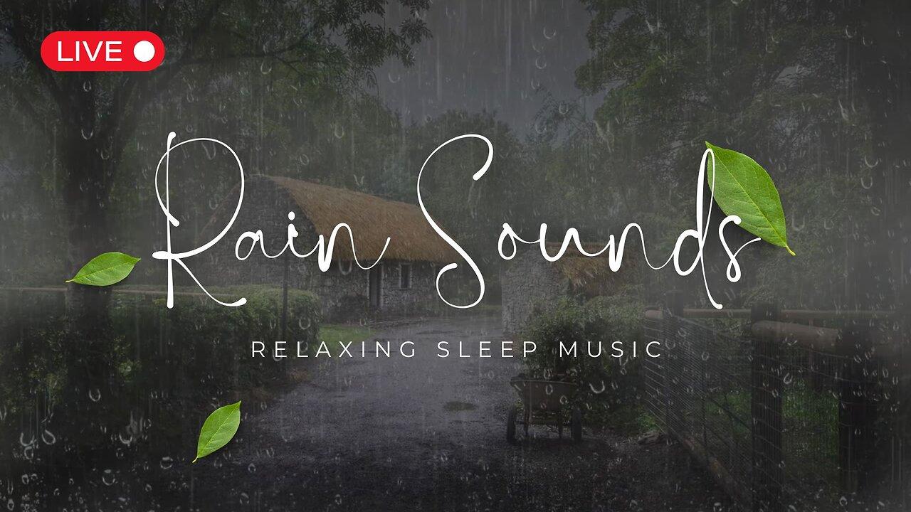 Gentle Rain Sounds for Deep Sleep & Relaxation | Soothing Rain Ambience