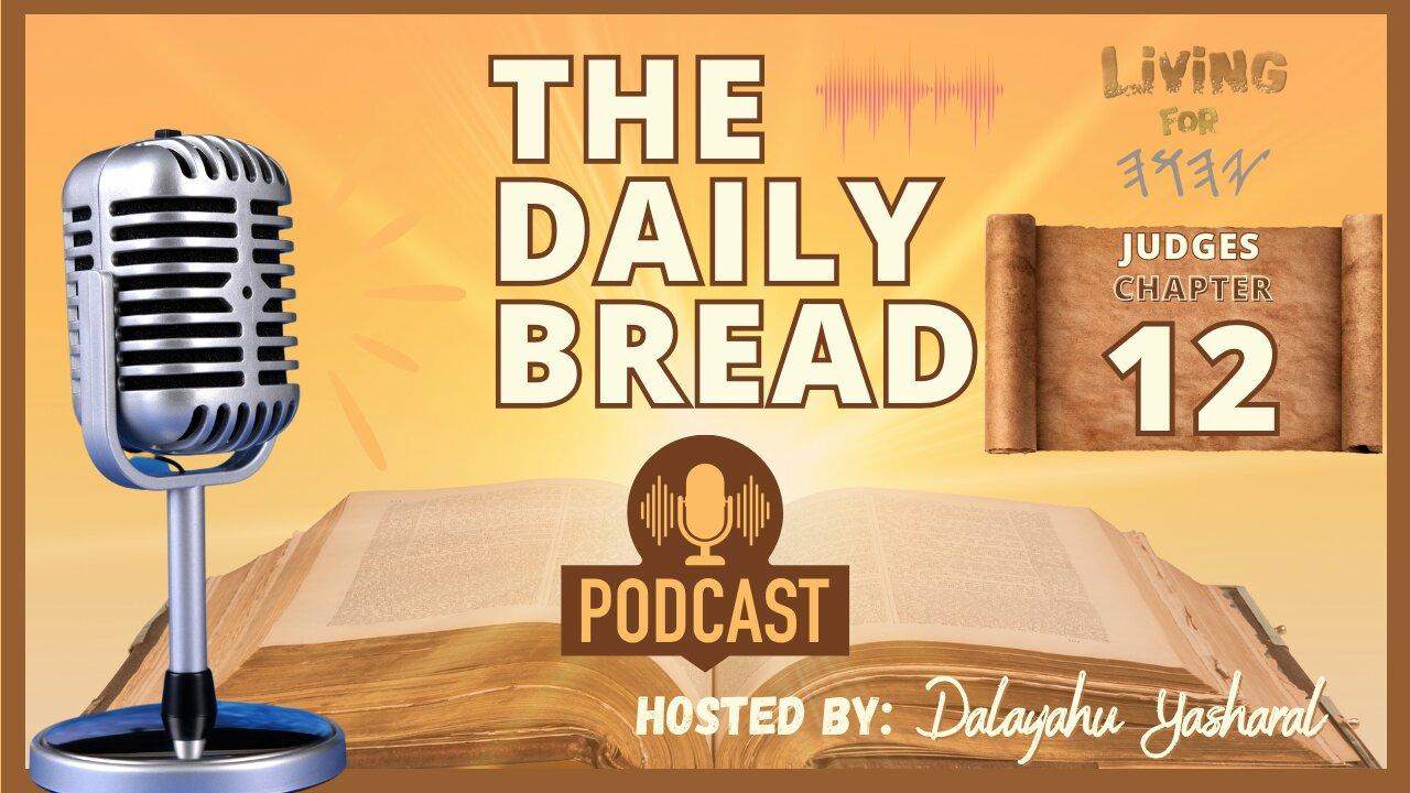 Judges/Shaphatym Chapter 12 | Many Judges, Many Kids | The Daily Bread Podcast
